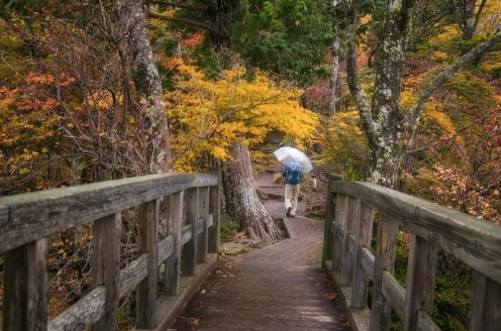 10 Childhood Stories So Chilling 10 Childhood Stories So Chilling